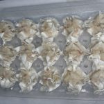 下一个商品图像